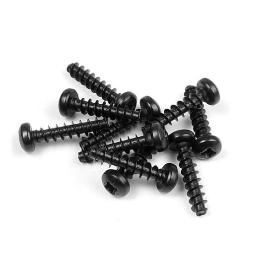 Screw Phillips 3.0X14 (10)