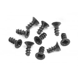 Screw Phillips Fh 2.5X6 (10)