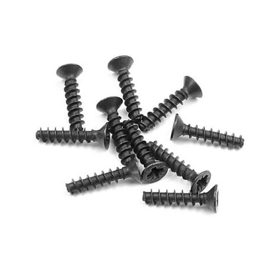 Screw Phillips Fh 2.5X12 (10)