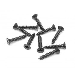 Screw Phillips Ss 3.5X19 (10)